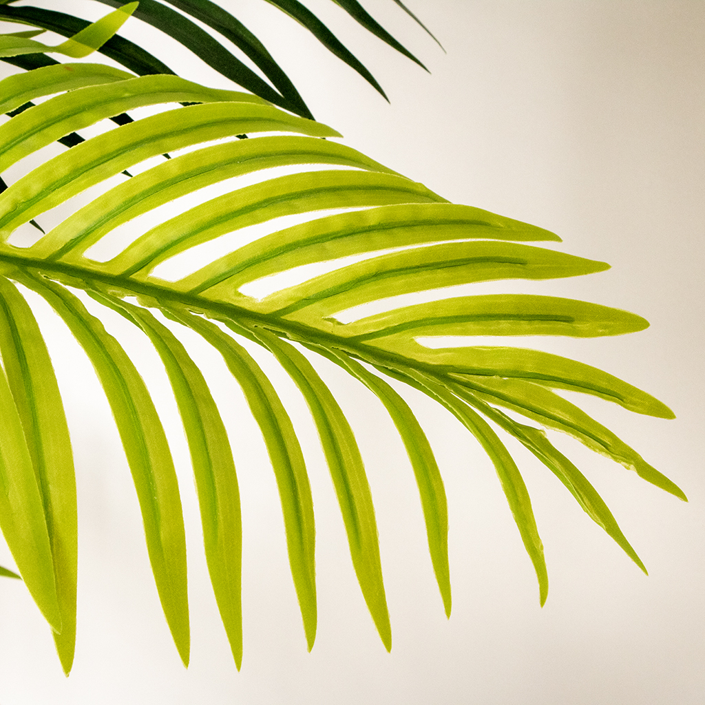 PLANTS