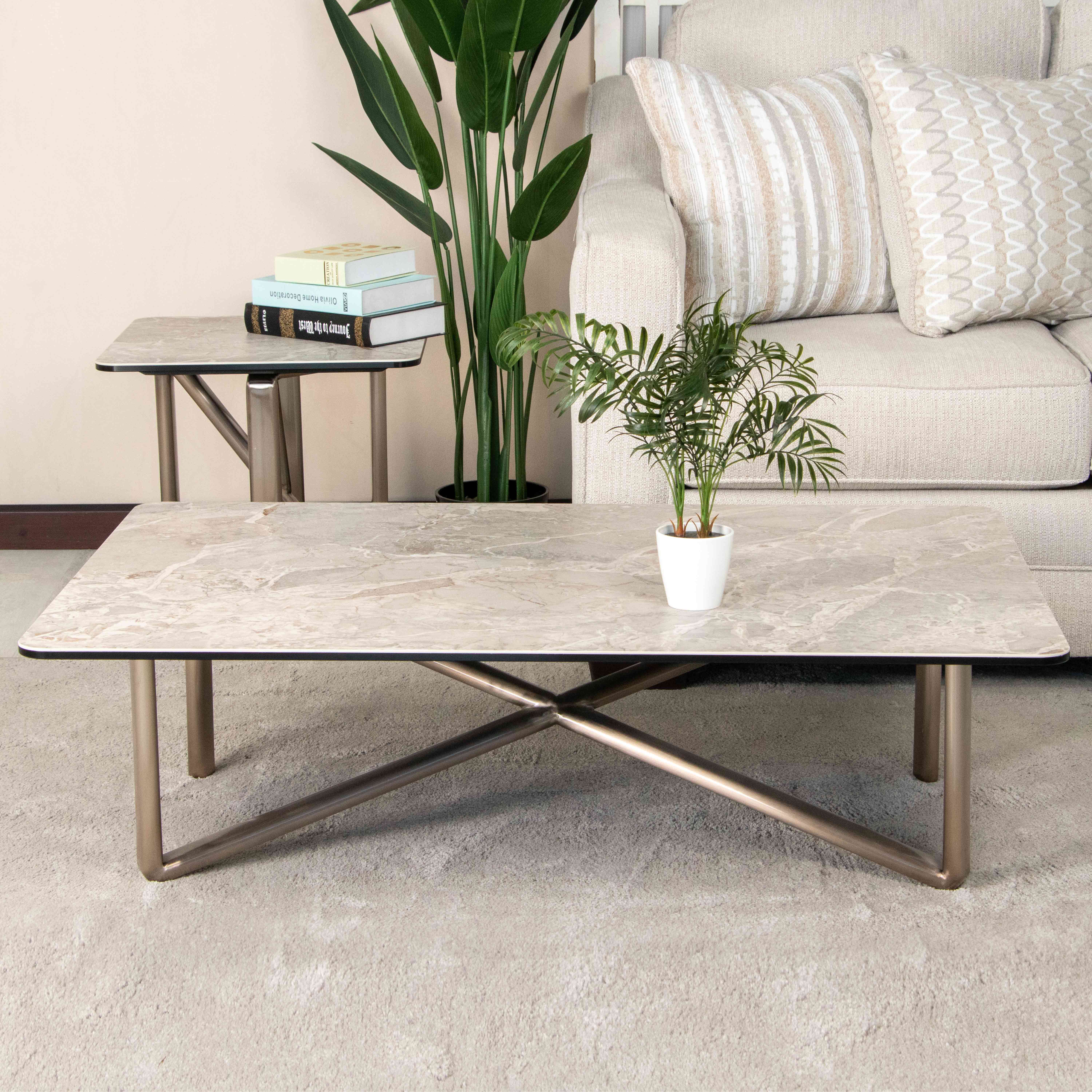 CJ973A COFFEE TABLE L/GREY & D/BROWN