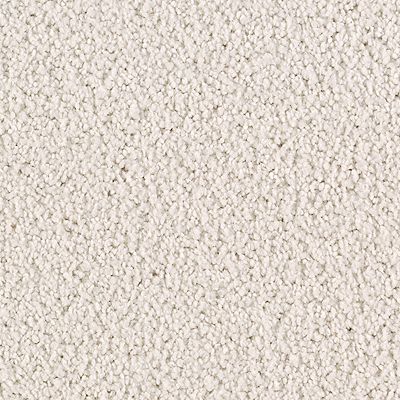 Carpet, Global Picture Carpet 6700