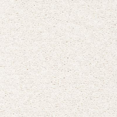 Carpet, Dazzling Statement Carpet 6700