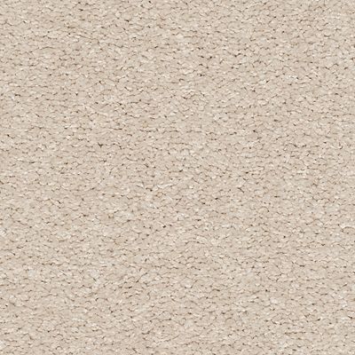 Carpet, Dazzling Statement Carpet 6730